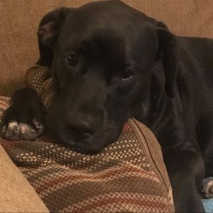 Meet your Posher, Emma